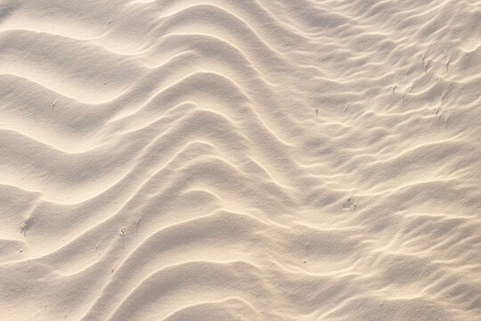 sand beige texture  in a sunny day - texture