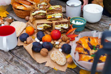 picnic in the autumn season, food on a wooden table, hot tea, pastries and sandwiches