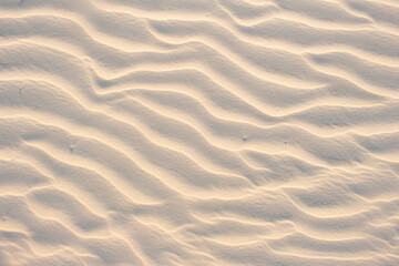 sand beige texture  in a sunny day - texture