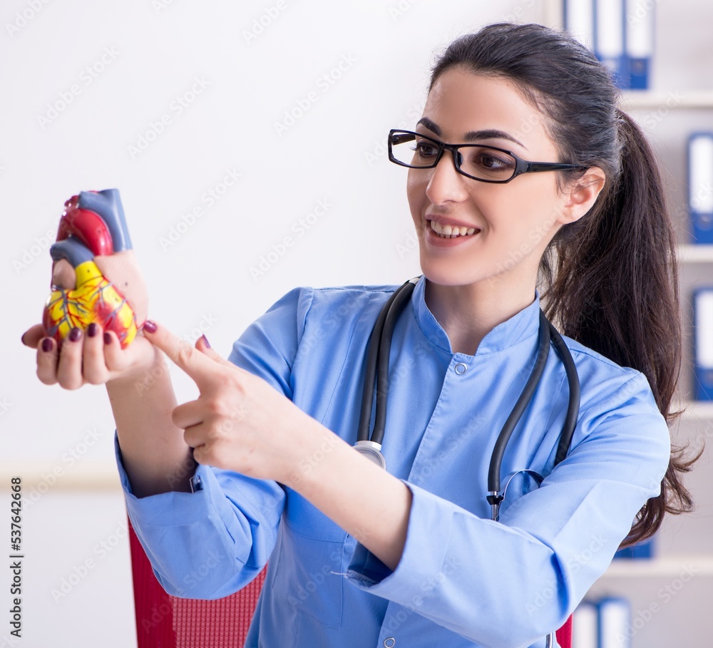 Wall mural young female doctor working in the clinic