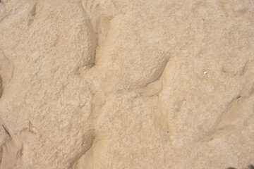 Fototapeta na wymiar sand beige texture in a sunny day - texture