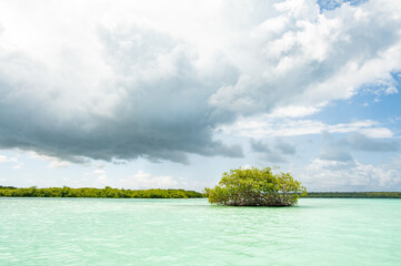 Regard sur Punta Cana