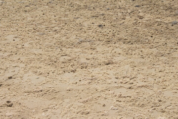 sand beige texture  in a sunny day - texture