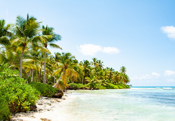 Regard sur Punta Cana