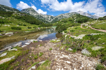 Naklejka na ściany i meble Pirin Mountain near Fish Banderitsa lake, Bulgaria