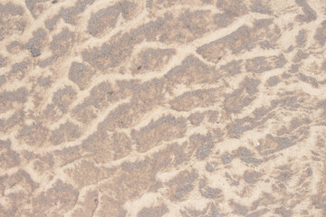 sand beige texture  in a sunny day - texture