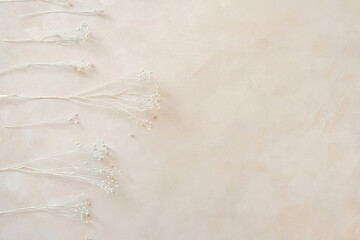 Dried flowers and twigs on pastel beige backdrop, copy space.