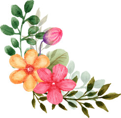 pink and orange orchid isolated