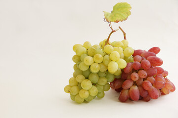 bunch of grapes on the vine. a bunch of red grapes and a bunch of green grapes on a white background