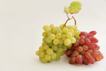 bunch of grapes on a vine. a bunch of red grapes and a bunch of green grapes on a white background