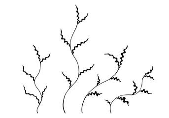 Algae set isolated on white background. Beautiful simple seaweed image for beauty industry, products with marine collagen, cosmetology, sea food packaging and other using. Vector illustration.