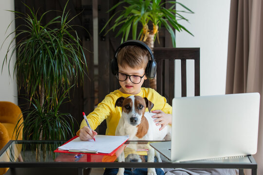 schoolboy in headphones with a dog have a lessons via computer at home