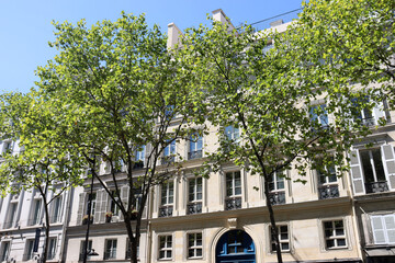 Beaux-Arts-Architektur, Historische Fassaden der Jahrhundertwende in Paris im 9e Arrondissement - obrazy, fototapety, plakaty