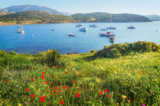Greek marine with yachts, summer seasonal scenery