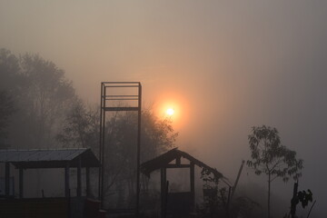Foggy Morning in Chitawan - UNICEF Heritage Site