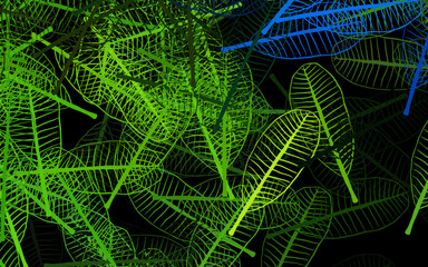 Dark Green, Yellow vector abstract design with flowers, leaves.