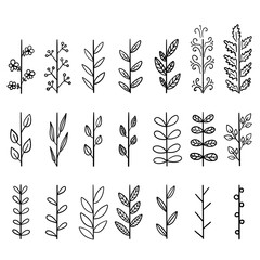 set of floral elements