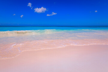 Tropical caribbean and turquoise beach, Punta Cana, Dominican Republic