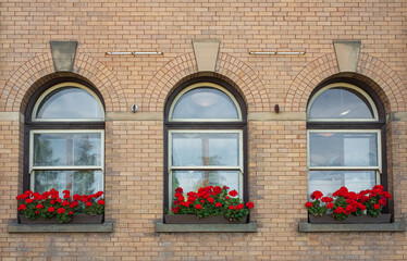 Fototapeta na wymiar Three vintage windows with stone frames and flowers on shelf. Three Arch Windows Old House with red flowers