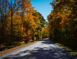Autumn Country Roads
Dorset Vermont October 10.11.22
