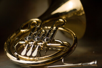 french horn an ancient musical metal instrument popular in classical brass music an instrument...