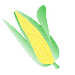 Corn / Elote