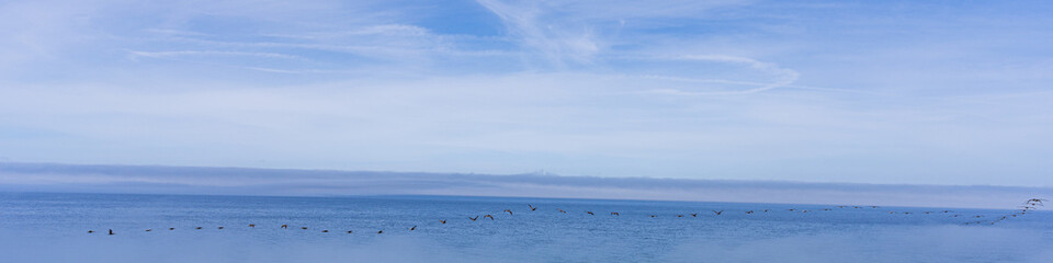 Amazing shots along Big Sur's California coast. 