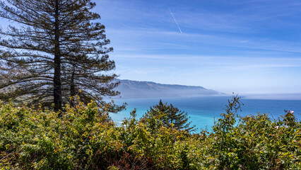 Amazing shots along Big Sur's California coast. 