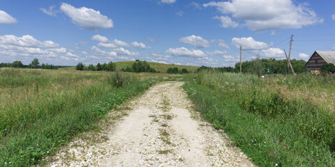 The road and the green grass. Summer landscape