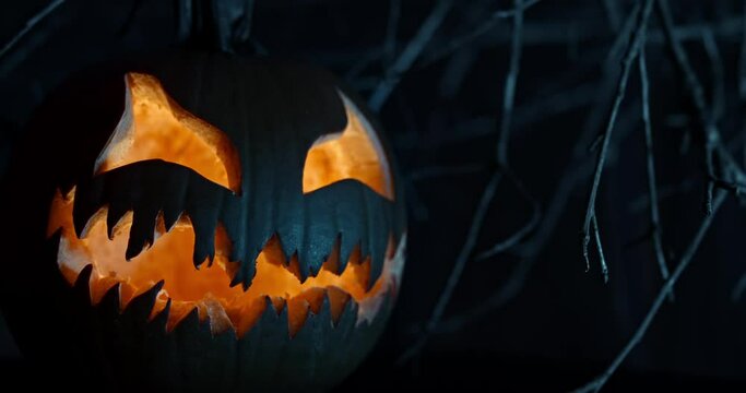 Spooky Halloween jack o lantern with scary face carved out of a pumpkin glowing with flickering light.