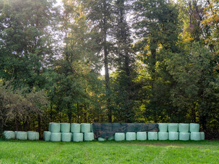 Silage Ballen lagern auf Wiese