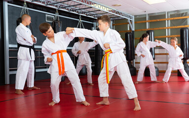 Two preteen boys working in pair, mastering new karate moves in class