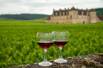 Tasting of red dry pinot noir wine in glass on premier and grand cru vineyards in Burgundy wine...