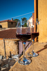 Tasting of red wine by old wine maker in Pierres Dorées region with yellow stone houses on south...