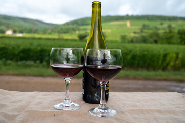 Tasting of red dry pinot noir wine in glass on premier and grand cru vineyards in Burgundy wine making region near Vosne-Romanée village, France