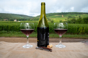 Tasting of red dry pinot noir wine in glass on premier and grand cru vineyards in Burgundy wine...
