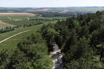 Fototapeta na wymiar Aerial view on Chablis Grand Cru appellation vineyards with grapes growing on limestone and marl soils, Burdundy, France