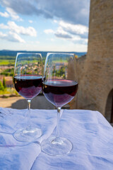 Glass of red dry wine and ruins of medieval castle of Châteauneuf-du-Pape ancient wine making village in France