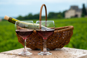 Tasting of red dry pinot noir wine in glass on premier and grand cru vineyards in Burgundy wine...