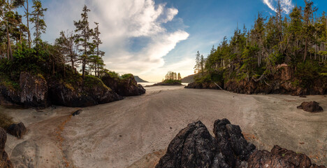 Sandy beach on Pacific Ocean Coast Panoramic View. Sunset Sky. San Josef Bay, Cape Scott Provincial Park, Northern Vancouver Island, BC, Canada. Canadian Nature Background