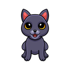 Cute chartreux cat cartoon sitting