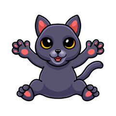 Cute chartreux cat cartoon posing
