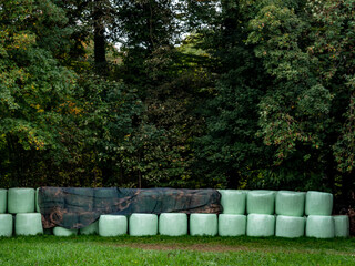 Silage Ballen lagern auf Wiese