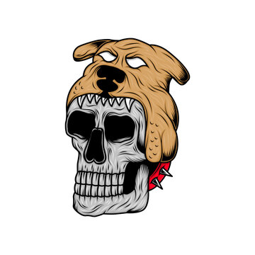 Skull with dog hat illustration design white background