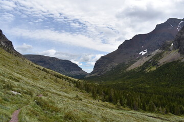 Obraz premium Nature