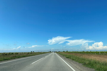 Landscape with a motorway between vineyards