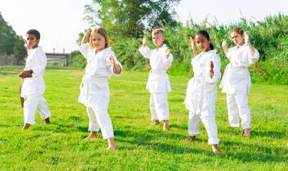 Focused tweenagers of different nationalities learning new karate moves during group class on green...