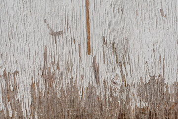 weathered wood texture or background