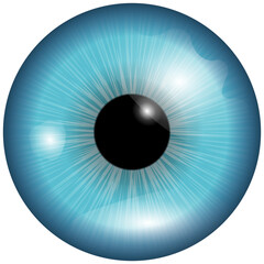 blue eye vector