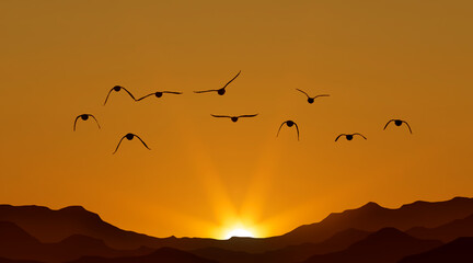 Orange sky on sunset or sunrise with flying birds with copy space